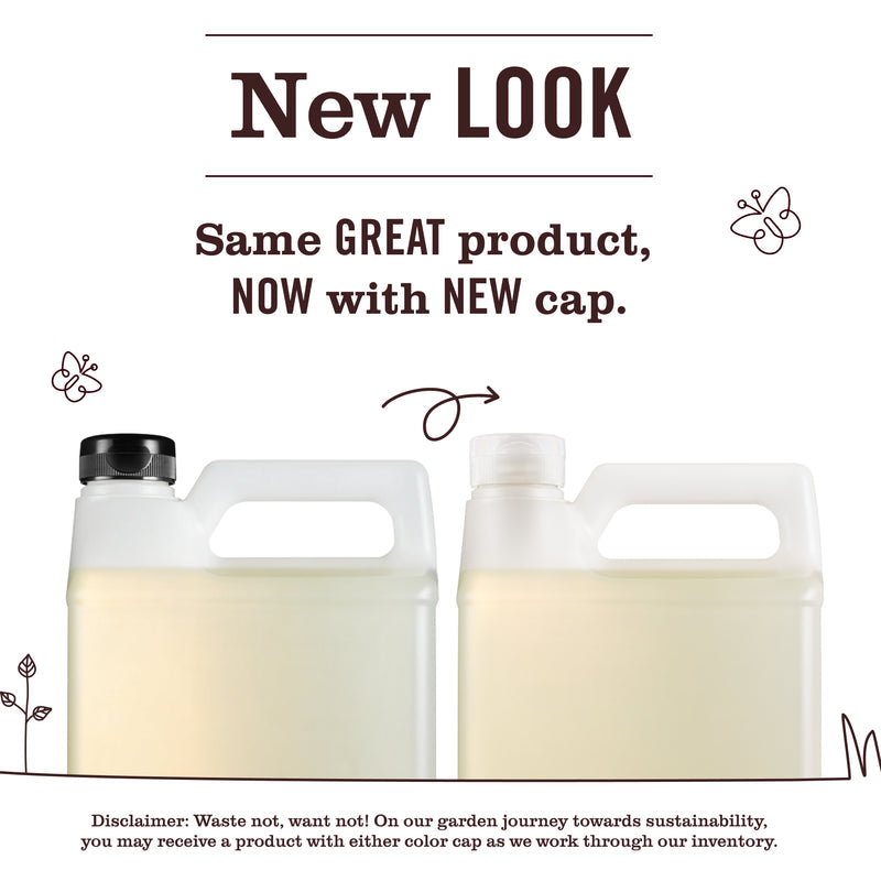 Mrs. Meyer's Basil Dish Soap Refill