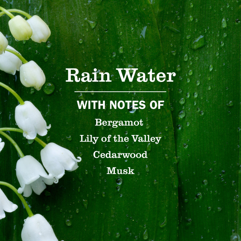 Mrs. Meyer's Rain Water Liquid Hand Soap Refill
