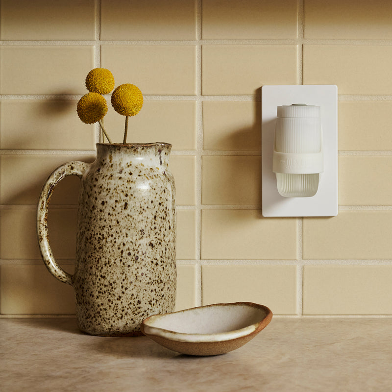 Dandelion Plug In Scented Oil Warmer With Refill