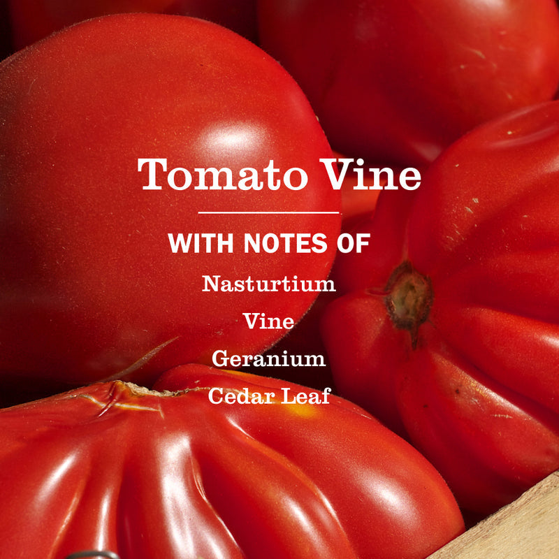 Mrs. Meyer's Tomato Vine Multi-Surface Everyday Cleaner 3-count Bundle
